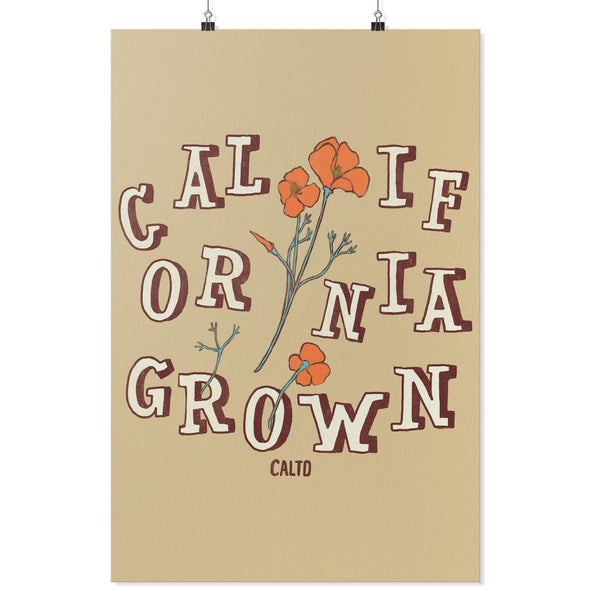 CA Grown Poppies Cream Poster-CA LIMITED