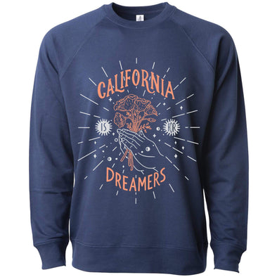 California Dreamers Raglan Sweater-CA LIMITED