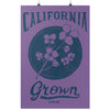 California Grown Circle Purple Poster-CA LIMITED