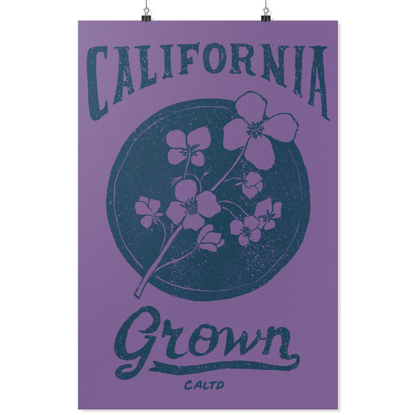 California Grown Circle Purple Poster-CA LIMITED